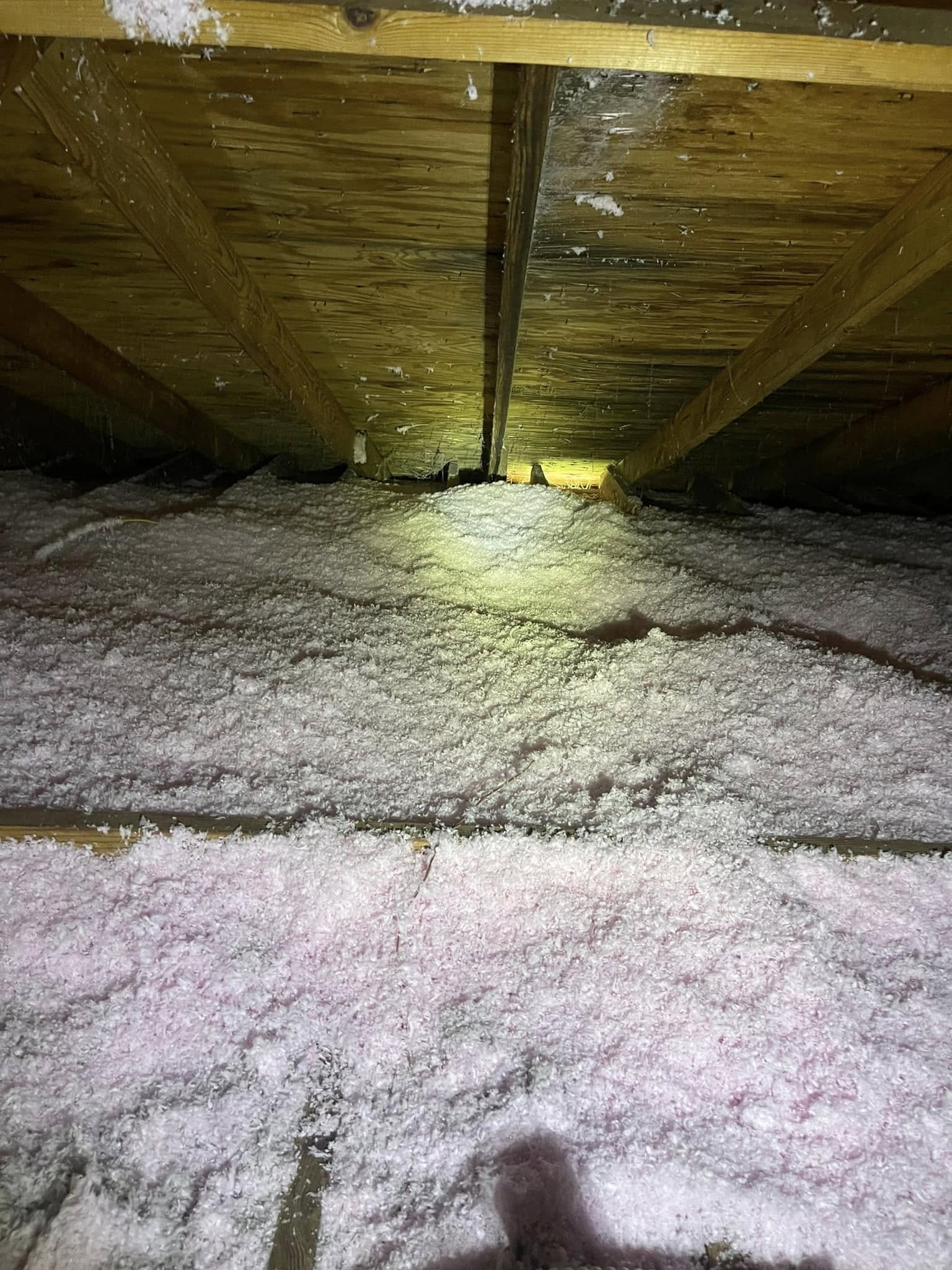 Attic Insulation in Odenville AL